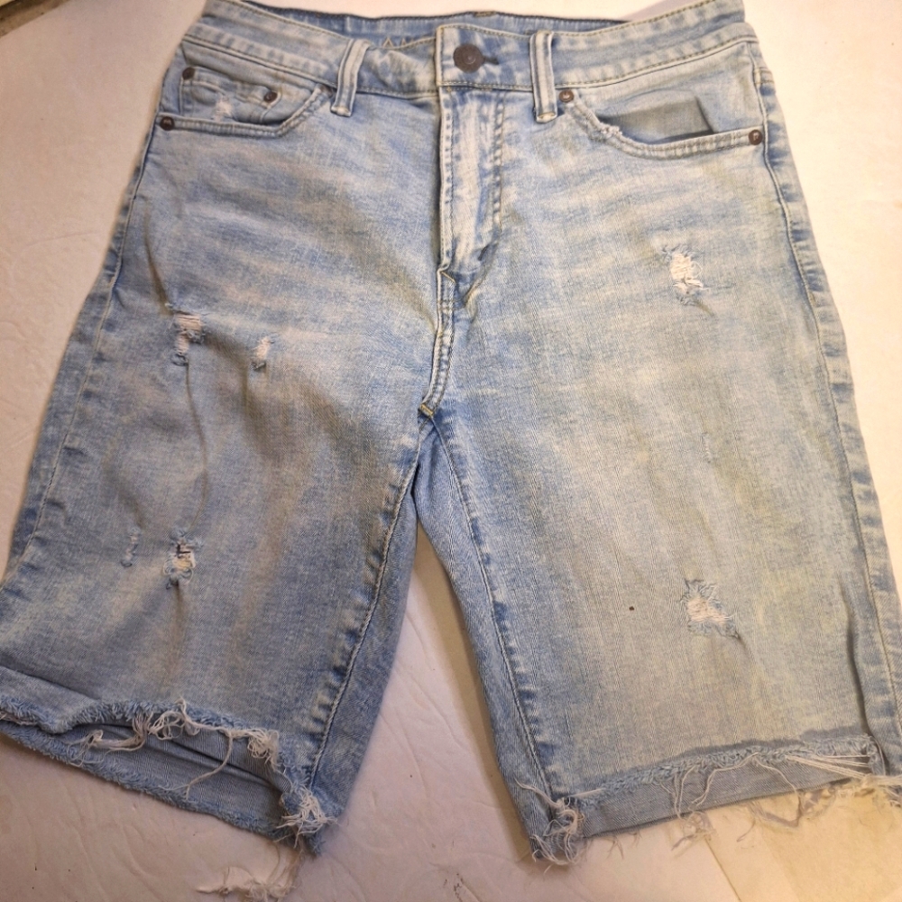 American Eagle Mens Shorts.     Size 30.